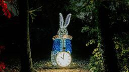 Wskocz do króliczej nory i przenieś się do ogrodu czarów