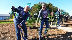 70 drzew na 70 lat. Uniwersytet Przyrodniczy stworzył ogród dendrologiczny
