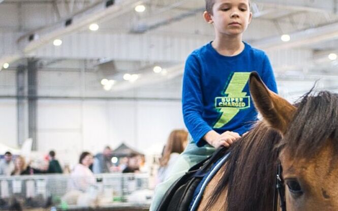 Trwa Lubelski ZOOPARK 2025. Byliśmy podczas pierwszego dnia imprezy