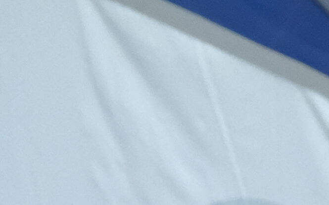 Jadalny czy trujący? Dowiedz się więcej o grzybach