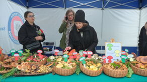 Jadalny czy trujący? Dowiedz się więcej o grzybach