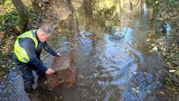 Raki trafiły do nowych siedlisk