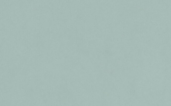 Światowy Dzień Zwierząt w Lublinie. Adopcja, koncerty i atrakcje dla wszystkich