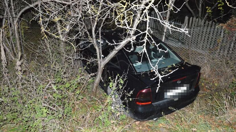 Z promilami zamiast prawa jazdy. Szaloną jazdę zakończył na płocie