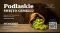 Podlaskie Święto Chmielu w Zamku Janów Podlaski– smak, muzyka i zabawa już w tę sobotę! 