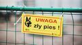 Właściciel psów, które zagryzły człowieka zatrzymany. Ataków na ludzi było więcej