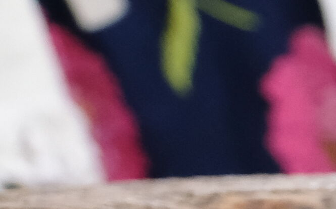 Sery na okrągło. Smaczne wydarzenie już w najbliższą sobotę