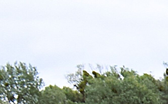 Tam gdzie dawniej skrzypiały deski, dziś błyszczy beton. Włodawa otworzyła nowy most