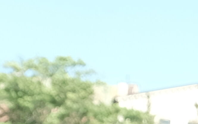 Pszczoły, miód i spotkania — Kraśnik zaprasza na wielkie święto pszczelarzy