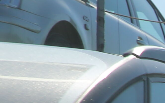 Granica pod lupą. Lubelszczyzna strzeże jakości żywności z Ukrainy