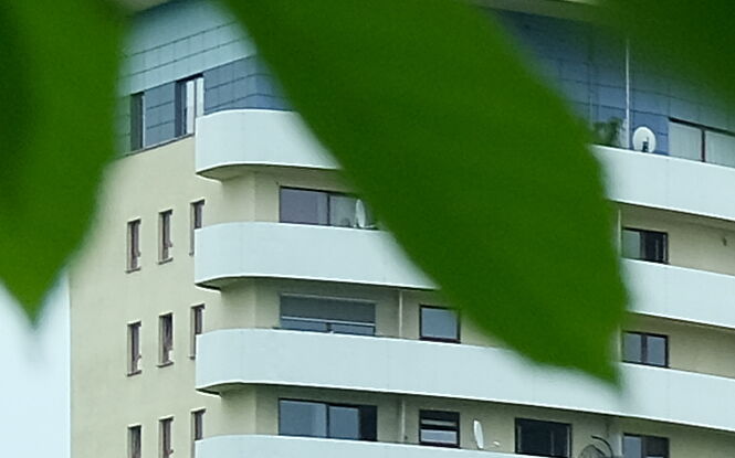 Dziki Lublin. Poznaj miejskie uroczyska