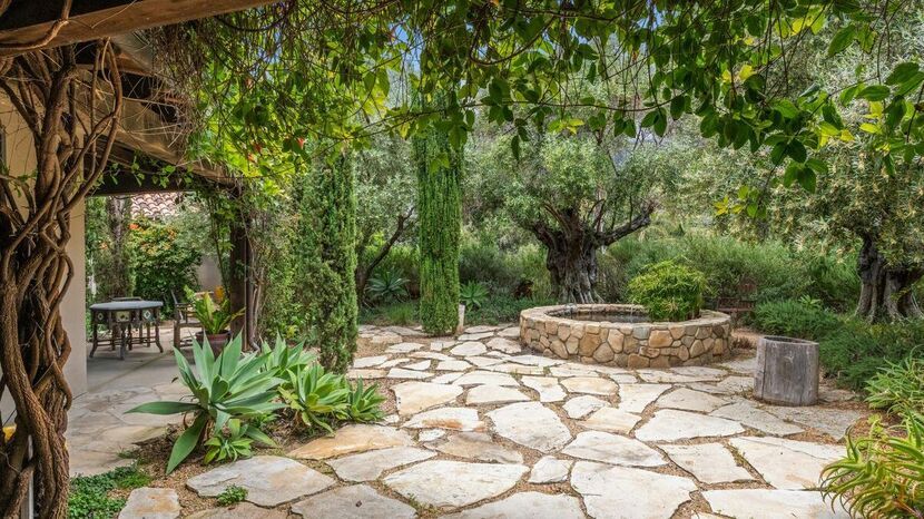 Kiedy sypać mączkę bazaltową? Klucz do żyznej gleby i zdrowych roślin