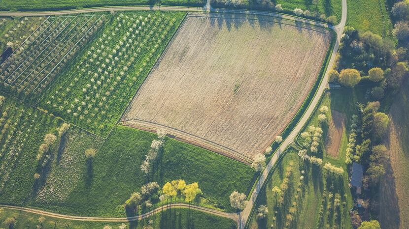 Jak sprawdzić numer działki online?