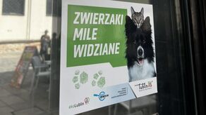 Lublin lubi zwierzaki. W tych miejscach zjesz, poczytasz czy zrobisz zakupy w towarzystwie pupila