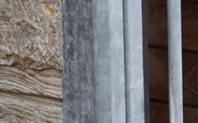 Z wizytą u braci mniejszych