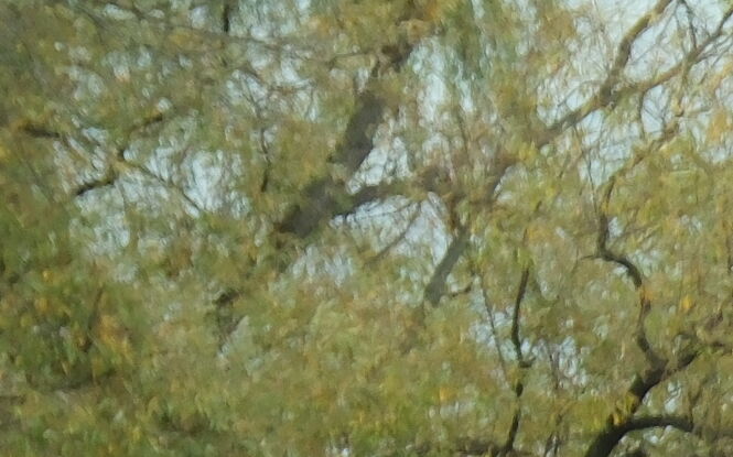 Wszystkich świętych na lubelskich ulicach. Policjanci kierujący ruchem i specjalne linie autobusowe
