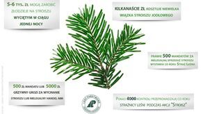 Grafika informacyjna