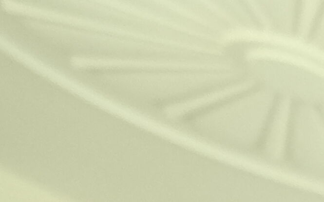 Renesans lubelskiej policji