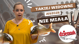 Jak połączyć tradycję z nowoczesnością? 