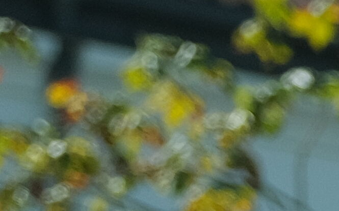 Prawie nikt nie zna dzielnicowego, ale czują się bezpiecznie. Lubelski Lider Bezpieczeństwa sprawdził os. Mickiewicza