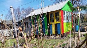 Sarnie żniwo na podzamczu 