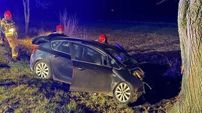 Opel zatrzymał się na drzewie