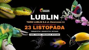 Egzotyczne Zwierzęta w Lublinie