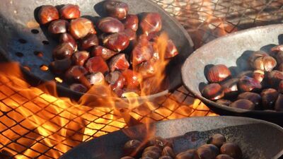 Najlepsze kasztany są na placu Pigalle. A my mamy jeszcze lepsze przepisy