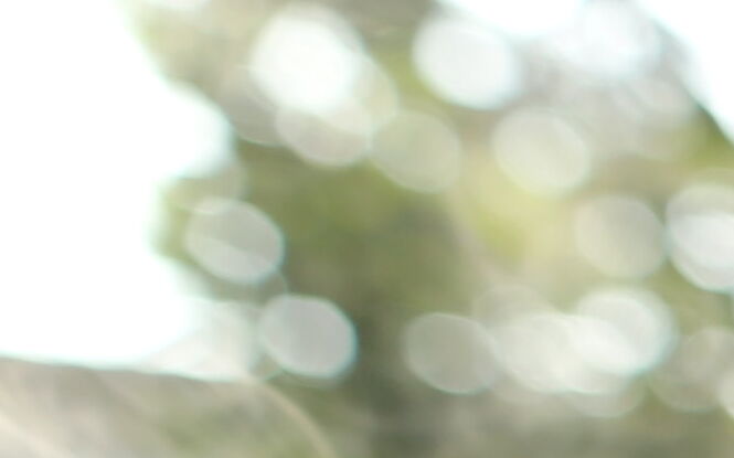 W 2026 roku majówka będzie krótka. Już dziś racjonalnie zaplanuj wolne