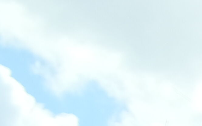 Brawurowa próba ucieczki z lubelskiego aresztu