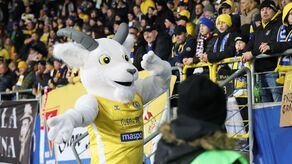 Gorąca atmosfera na meczu Motoru Lublin z Wisłą Płock [ZDJĘCIA]