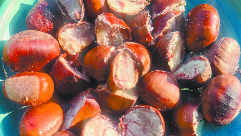 Najlepsze kasztany. Przepisy