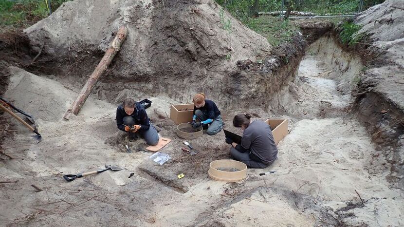 Zdjęcie ilustracyjne