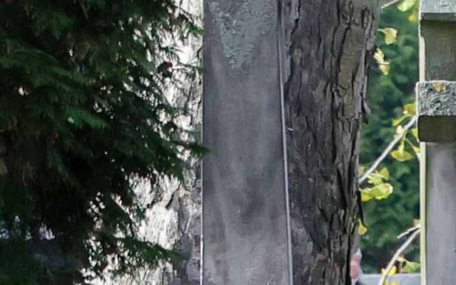 Lublinianie tłumnie ruszyli na groby