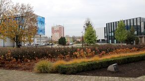 Jakie plany Puław na 2026 rok? Wydatki trzymane w ryzach