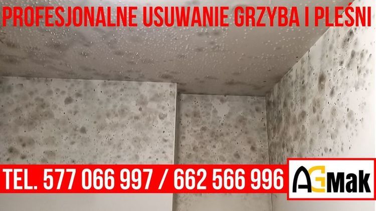 Usuwanie grzyba i pleśni Lublin i okolice AGMAK