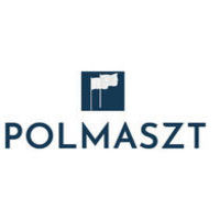 polmaszt - avatar
